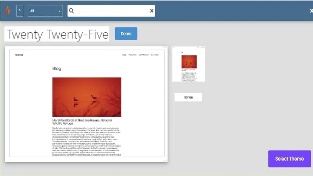 final theme selection to install theme