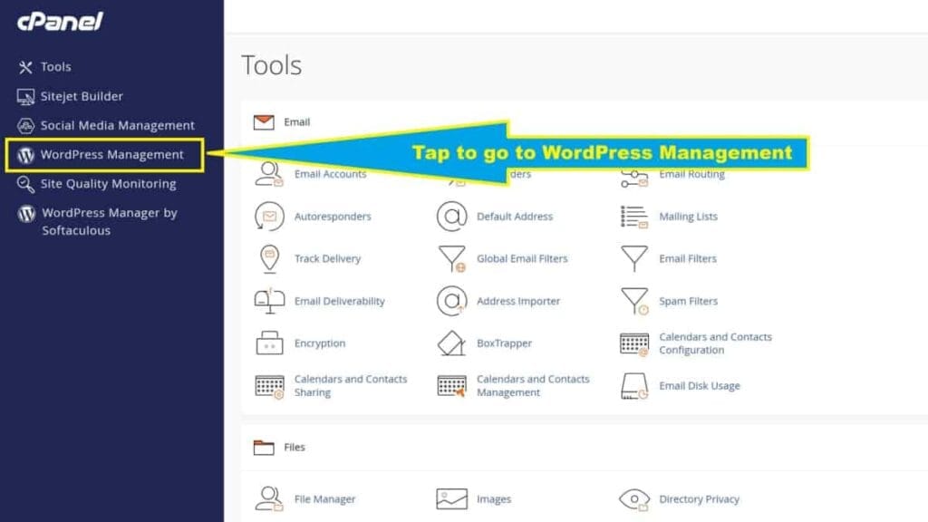 selecting wordpress management for 1 click wordpress install in cpanel