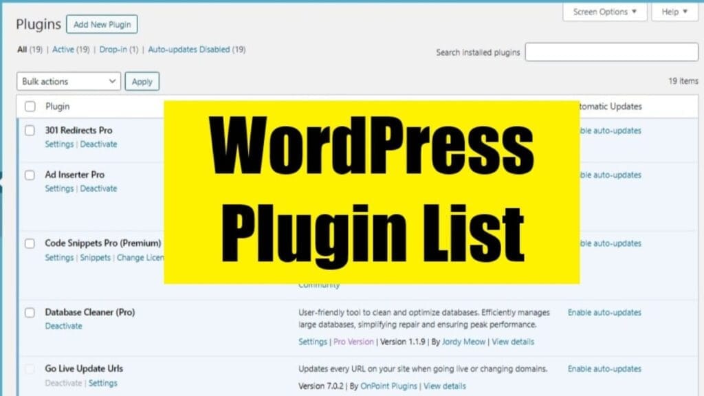 wp plugin list