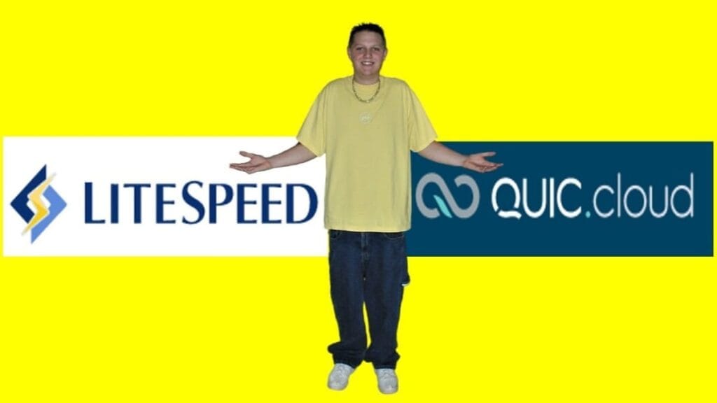 wp plugin list includes litespeed cache plugin